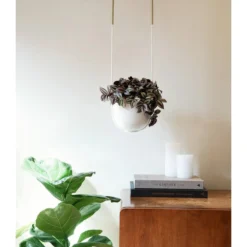 Umbra DECOR Bolo Hanging Planter