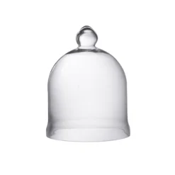 Bidk Home DECOR Glass Cloche W/ Ball Knob