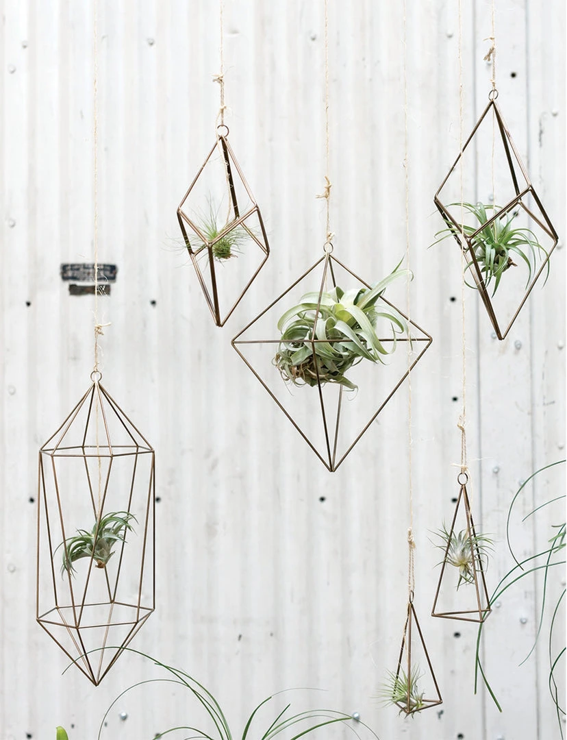 Accent Decor Tillandsia Hanger- Triangle 6 Accent Decor Tillandsia Hanger- Triangle