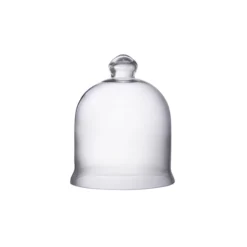 Bidk Home DECOR Glass Cloche W/ Ball Knob