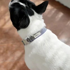 Howlpot DECOR Howlgo Basic Collar, Blue