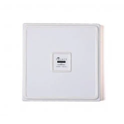 NEW ARRIVAL Seletti Palace Palazzo Della Signoria 34 NEW ARRIVAL Seletti Palace Palazzo Della Signoria