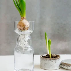 Society Of Lifestyle House Doctor Cinth Vase 8 Society Of Lifestyle House Doctor Cinth Vase