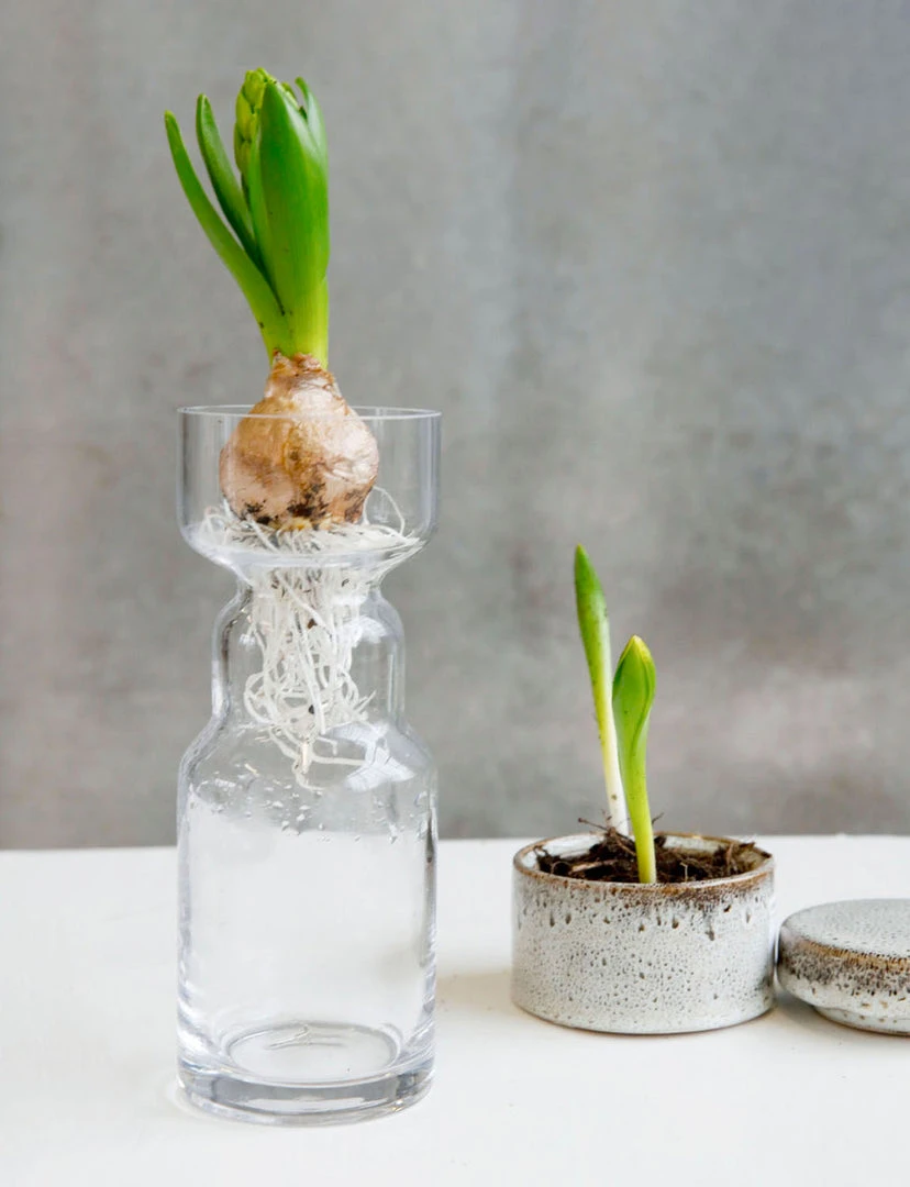 Society Of Lifestyle House Doctor Cinth Vase 4 Society Of Lifestyle House Doctor Cinth Vase