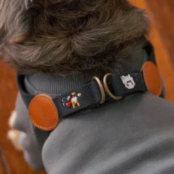 Howlpot Adventure Sweatshirt, Gotham DECOR