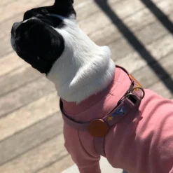 Howlpot Adventure Sweatshirt, Genie DECOR