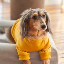 Howlpot Adventure Sweatshirt, Sahara 9 Howlpot Adventure Sweatshirt, Sahara