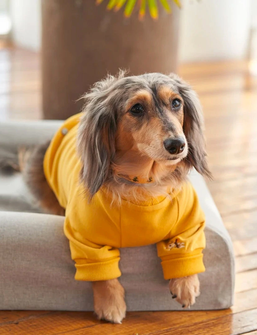 Howlpot Adventure Sweatshirt, Sahara 5 Howlpot Adventure Sweatshirt, Sahara