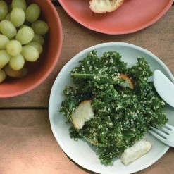 BESTSELLER Kinto Alfresco Plate 250mm / 10in