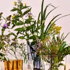 Iittala Alvar Aalto Vase / 160 Mm