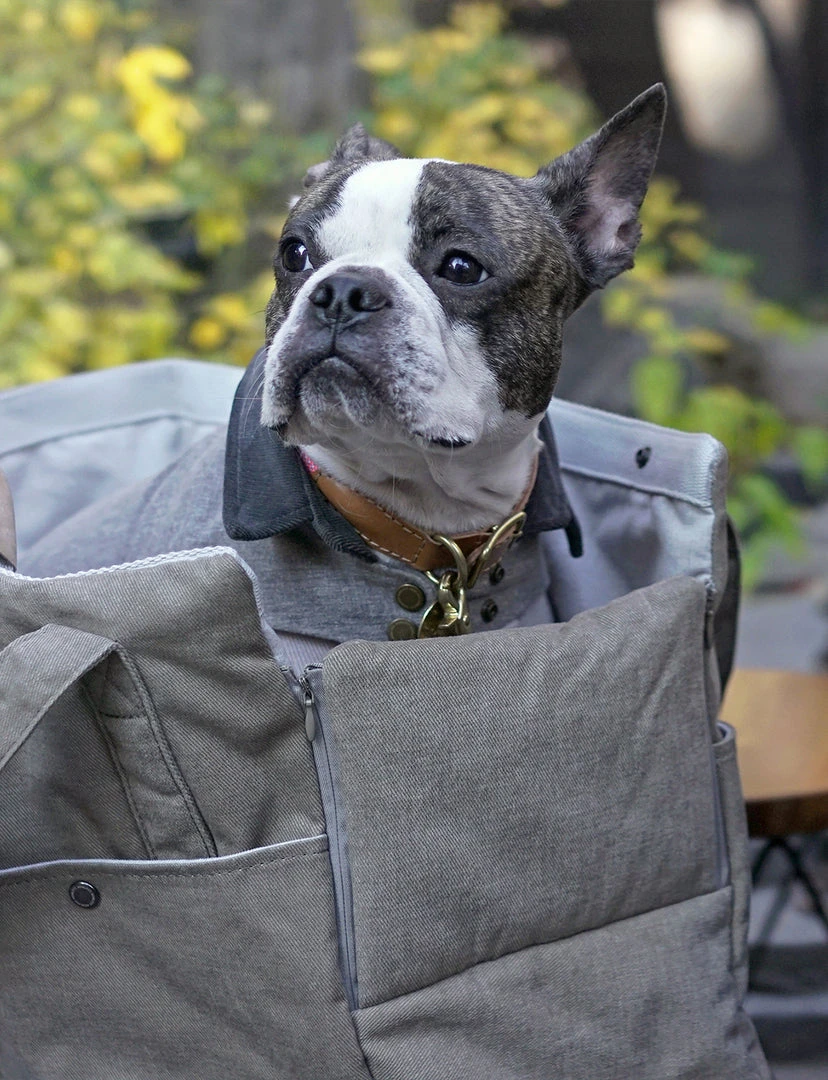 Howlpot DECOR Day Bag Large 17 Howlpot DECOR Day Bag Large