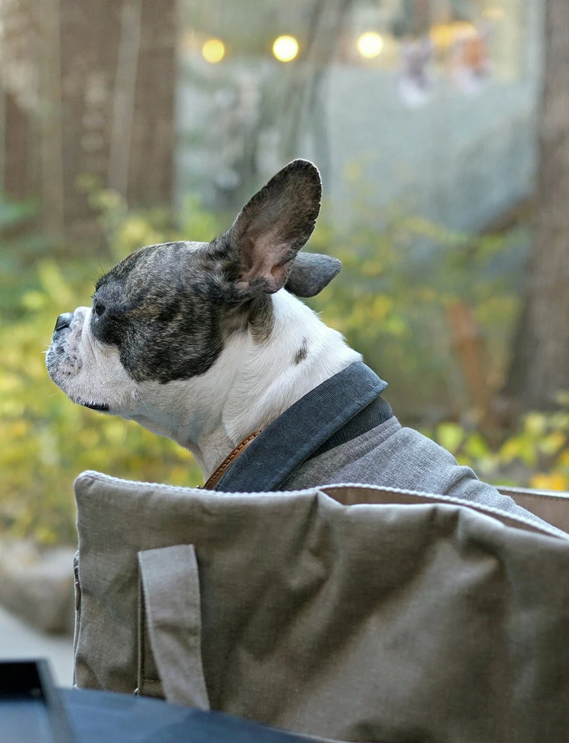 Howlpot DECOR Day Bag Large 18 Howlpot DECOR Day Bag Large