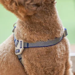 Howlpot Howlgo Basic Harness, Blue