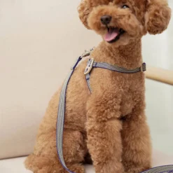 Howlpot DECOR Howlgo Basic Standard Leash