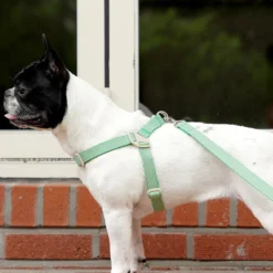 Howlpot Howlgo Basic Harness, Green