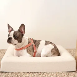 Howlpot Howlgo Basic Harness, Red DECOR