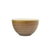 Creative Co-op Reactive Glaze Stoneware Bowl 5"