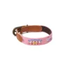 Howlpot Adventure Dog Collar, Budapest DECOR