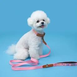 Howlpot Adventure Dog Collar, Budapest DECOR