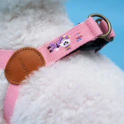 Howlpot Adventure Dog Harness, Budapest