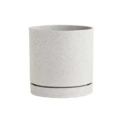 Accent Decor Callahan Pot