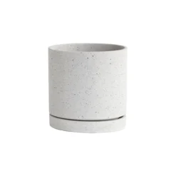 Accent Decor Callahan Pot