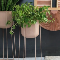 Accent Decor Celeste Plant Stand