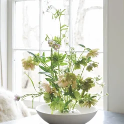 The Floral Society DECOR Ceramic Flower Frog Bowl