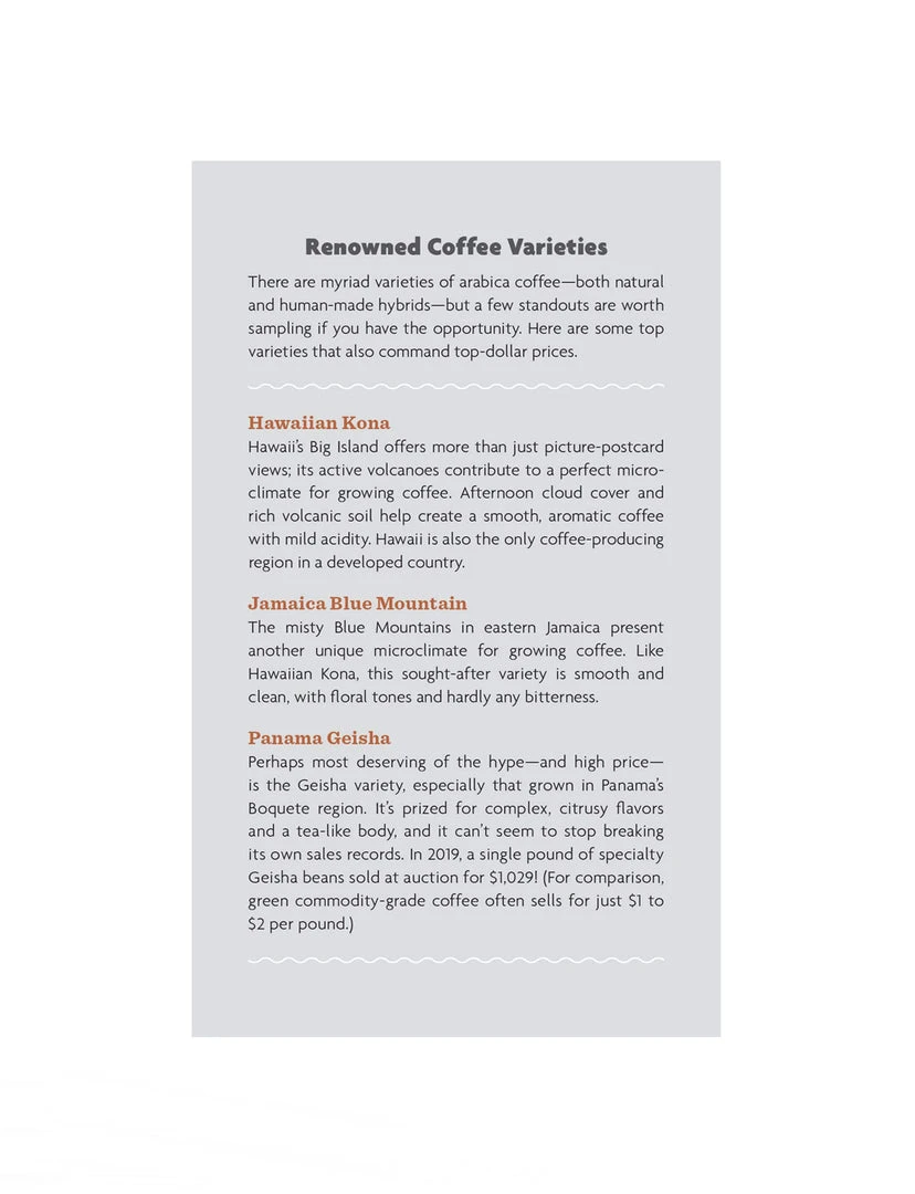 Common Ground Stuff Every Coffee Lover Should Know NEW ARRIVAL 3 Common Ground Stuff Every Coffee Lover Should Know NEW ARRIVAL