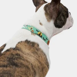 Howlpot DECOR Adventure Dog Collar, Ghost 7 Howlpot DECOR Adventure Dog Collar, Ghost