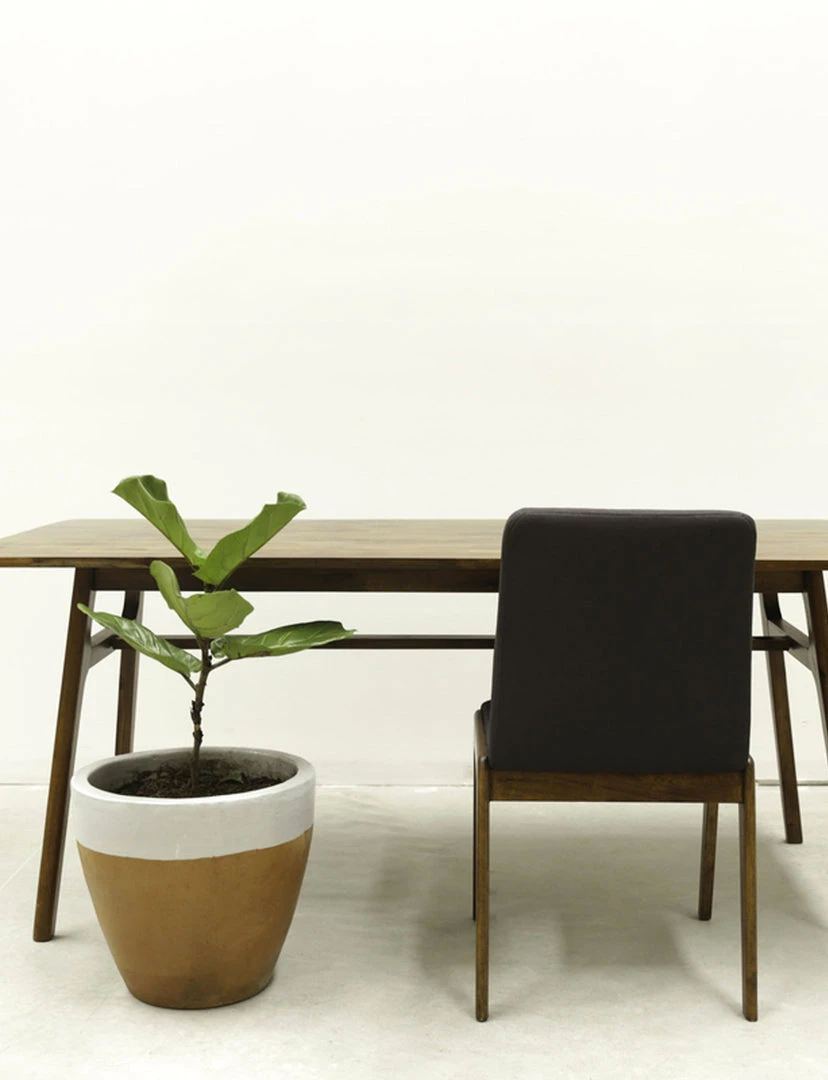 LH Imports Comun Dining Chair (set Of 2) 7 LH Imports Comun Dining Chair (set Of 2)