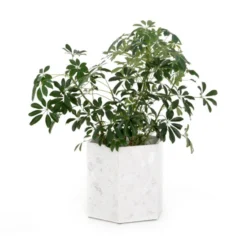 Four Hands Holand Hexagon Planter (set Of 2) DECOR