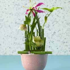 Accent Decor Daphne Compote