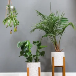 Accent Decor Dale Plant Stand