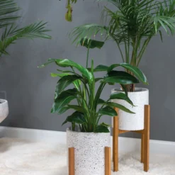 Accent Decor Dale Plant Stand