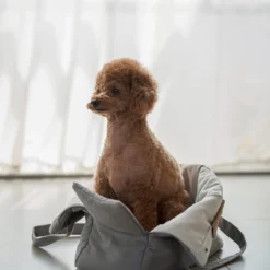 Howlpot Day Bag Small DECOR