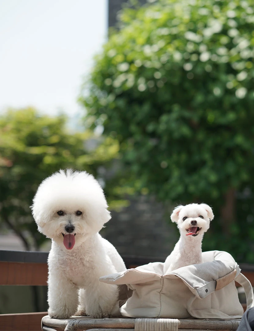 Howlpot DECOR Day Bag Large 4 Howlpot DECOR Day Bag Large