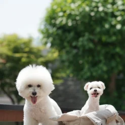 Howlpot Day Bag Small DECOR