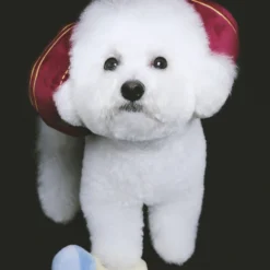 Howlpot Diamond Ring Nosework Dog Toy DECOR