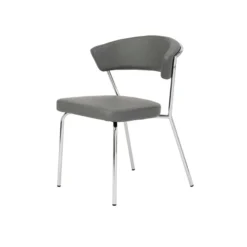 Euro Style Drae Side Chair (set Of 2)
