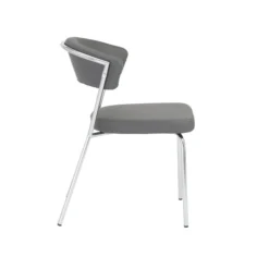 Euro Style Drae Side Chair (set Of 2)