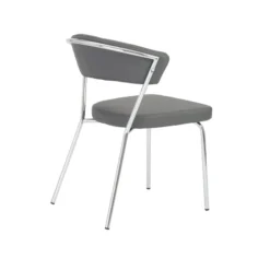Euro Style Drae Side Chair (set Of 2)