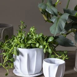 Accent Decor Draken Pot
