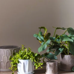 Accent Decor Duncan Pot 11 Accent Decor Duncan Pot