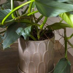 Accent Decor Duncan Pot