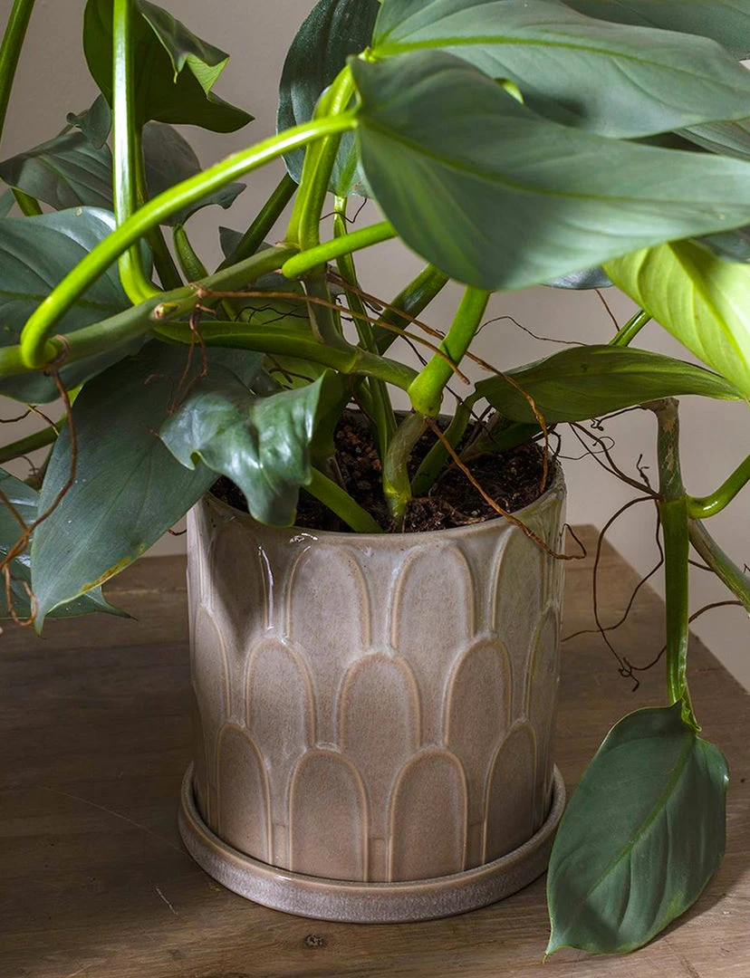 Accent Decor Duncan Pot 2 Accent Decor Duncan Pot