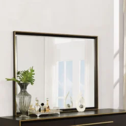 Coaster DECOR Doran Mirror