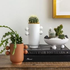 Accent Decor Farley Pot NEW ARRIVAL 5 Accent Decor Farley Pot NEW ARRIVAL