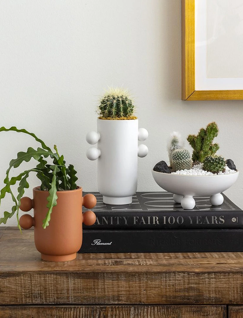 Accent Decor Farley Pot NEW ARRIVAL 3 Accent Decor Farley Pot NEW ARRIVAL