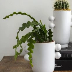 Accent Decor Farley Pot NEW ARRIVAL